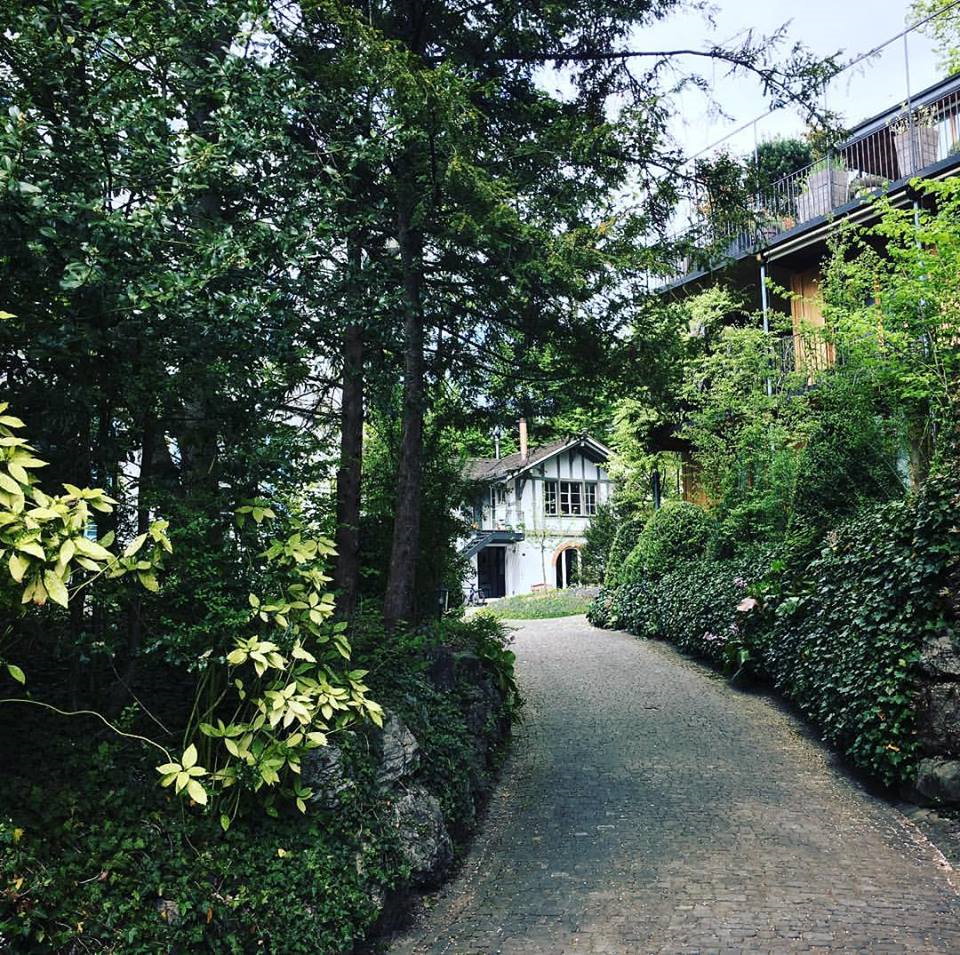 Grüne Oase im Kreis 8