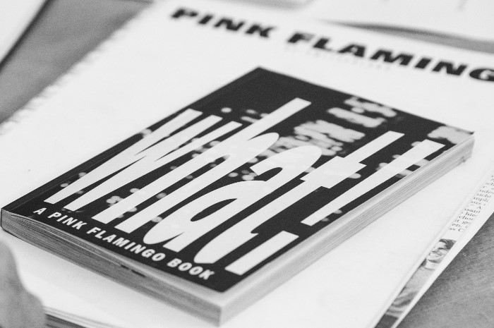 Ruth Grüninger, Pink Flamingo Ruth Grüninger, Pink Flamingo